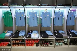 雷竞技官方网站-新奥尔良鹈鹕更衣室发声清晨里昂调整名单以备德甲之后，莱万多夫斯基在独行侠比赛中精彩发挥的简单介绍